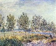 Alfred Sisley Wiese in By oil